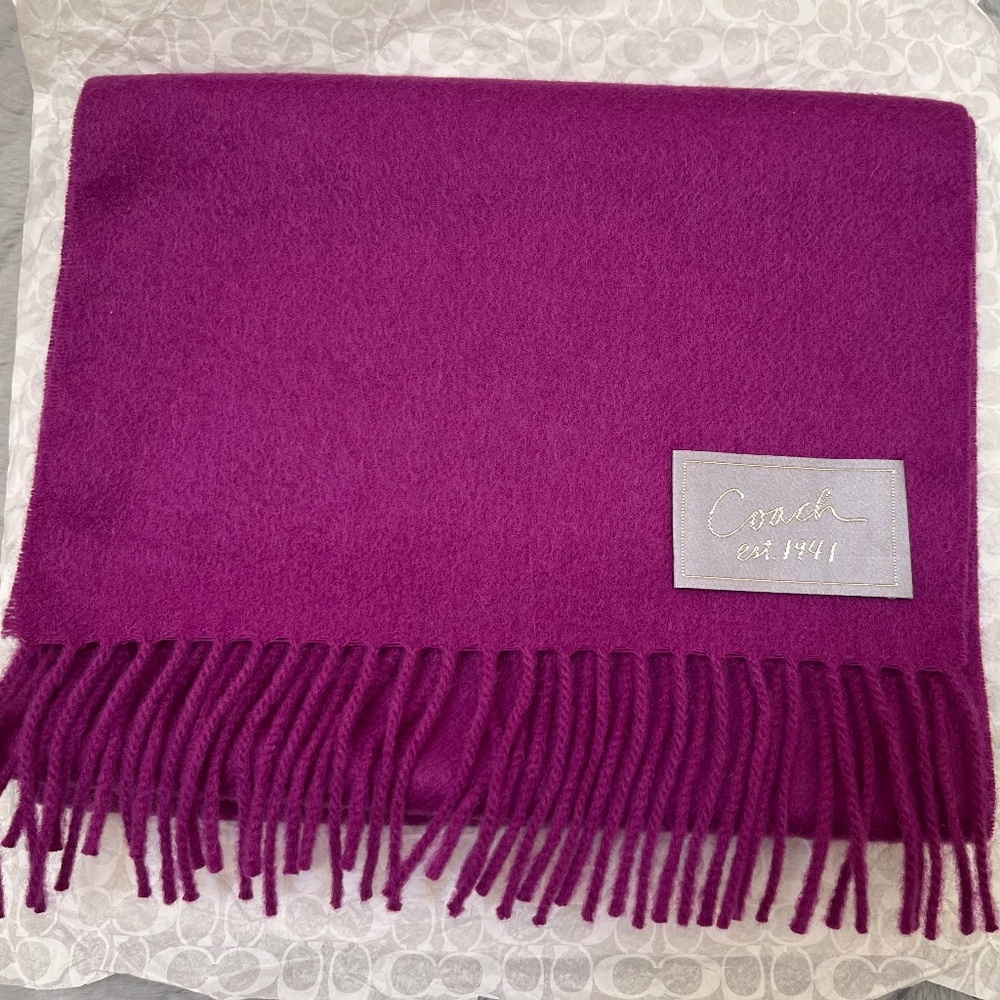 Coach Wool & Cashmere Fringed Scarf